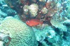 IMG_2329-.Medium