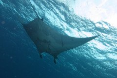 IMG_2333-.Medium