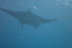 IMG_2334-.Medium