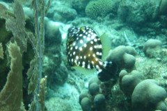 IMG_2335-.Medium