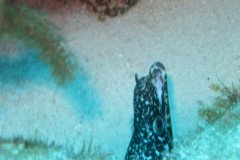 IMG_2339-.Medium
