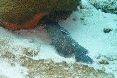 IMG_2340-.Medium