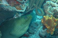 IMG_2351-.Medium