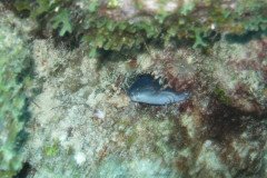 IMG_2355-.Medium