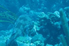 IMG_3243-.Medium