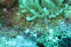 IMG_3246-.Medium