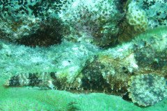 IMG_3247-.Medium