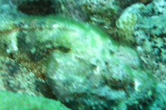 IMG_3248-.Medium