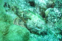 IMG_3249-.Medium