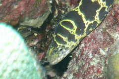 IMG_3259-.Medium