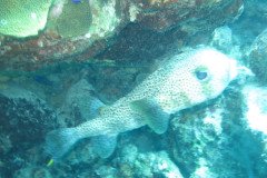 IMG_3276-.Medium