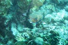 IMG_3277-.Medium