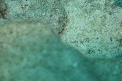 IMG_3281-.Medium