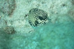 IMG_3282-.Medium