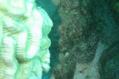 IMG_3283-.Medium