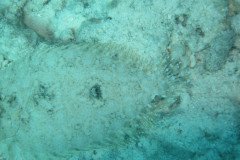 IMG_3284-.Medium