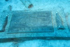 IMG_3285-.Medium
