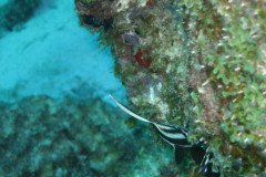 IMG_2506-.Medium