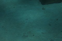 IMG_2515-.Medium