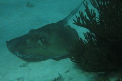 IMG_2516-.Medium