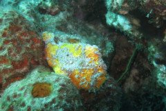 IMG_2518-.Medium
