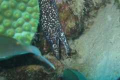 IMG_2522-.Medium