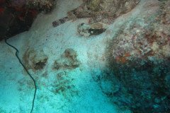 IMG_2524-.Medium