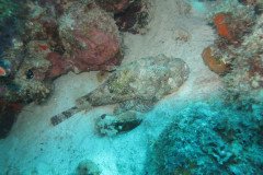 IMG_2525-.Medium