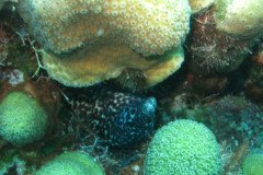 IMG_2526-.Medium