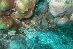IMG_2533-.Medium