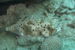 IMG_2535-.Medium