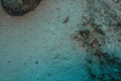 IMG_2536-.Medium