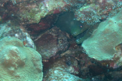IMG_2540-.Medium