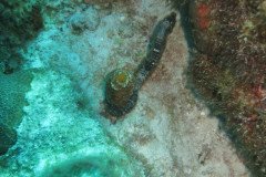 IMG_2545-.Medium