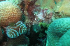 IMG_2546-.Medium