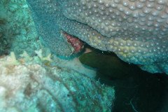IMG_2549-.Medium