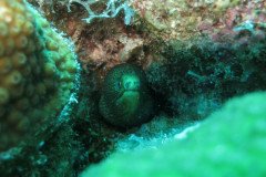 IMG_2564-.Medium