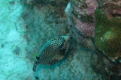 IMG_2565-.Medium