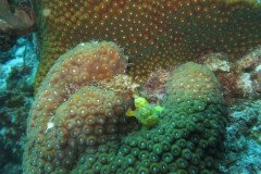 IMG_2572-.Medium