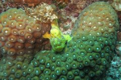 IMG_2574-.Medium