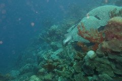 IMG_2578-.Medium