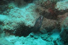 IMG_2579-.Medium