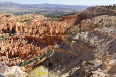 DSC00508-Medium