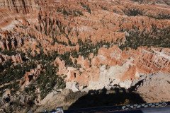 DSC00510-Medium