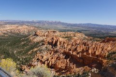 DSC00516-Medium