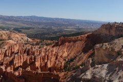 DSC00517-Medium