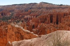 DSC00523-Medium