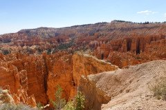DSC00525-Medium