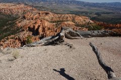 DSC03145-Medium