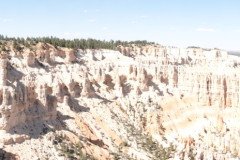 DSC03149-Medium